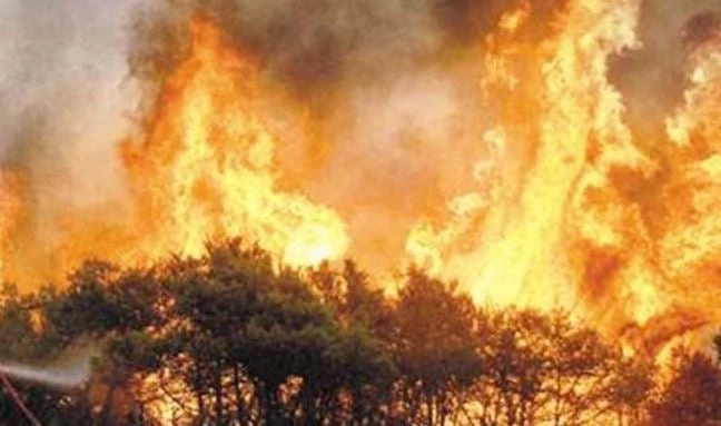 ΕΚΤΑΚΤΟ: Μεγάλη φωτιά στην Εύβοια – Καίγεται δάσος στον Πισσώνα